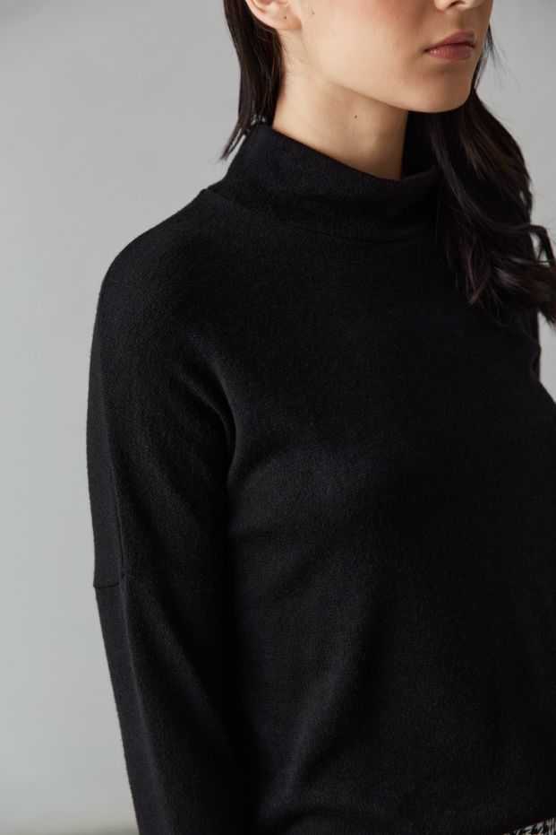 Negin Cropped Turtleneck Top