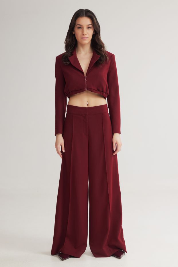 Colyn Pleated Wide Pants Bordeaux