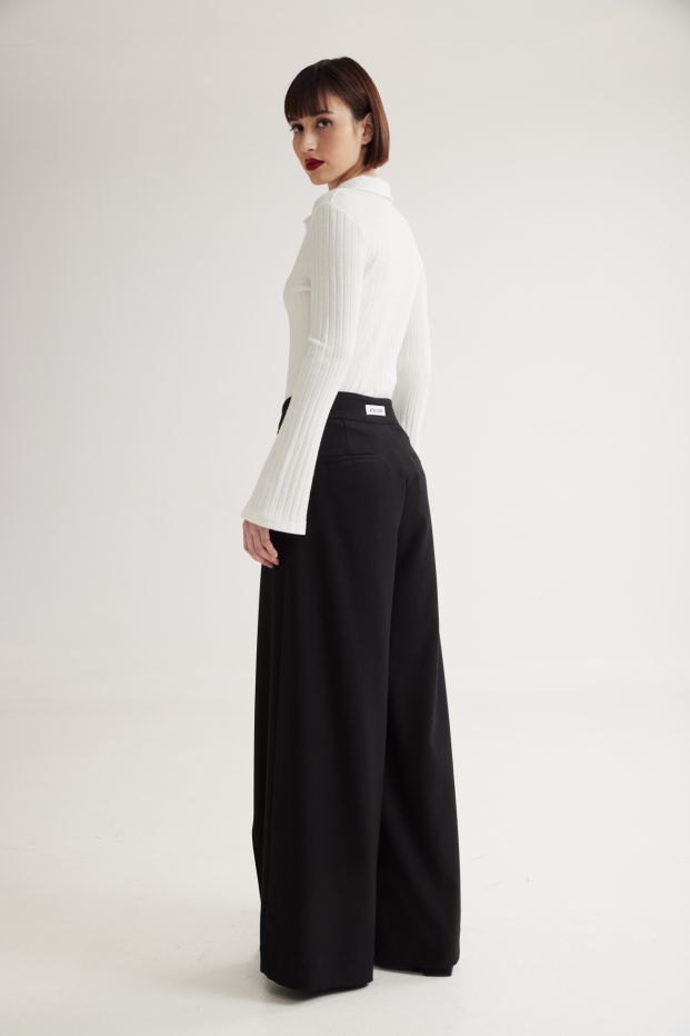 Colyn Pleated Wide Pants Black